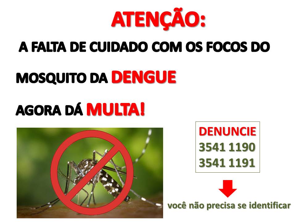 DENGUE